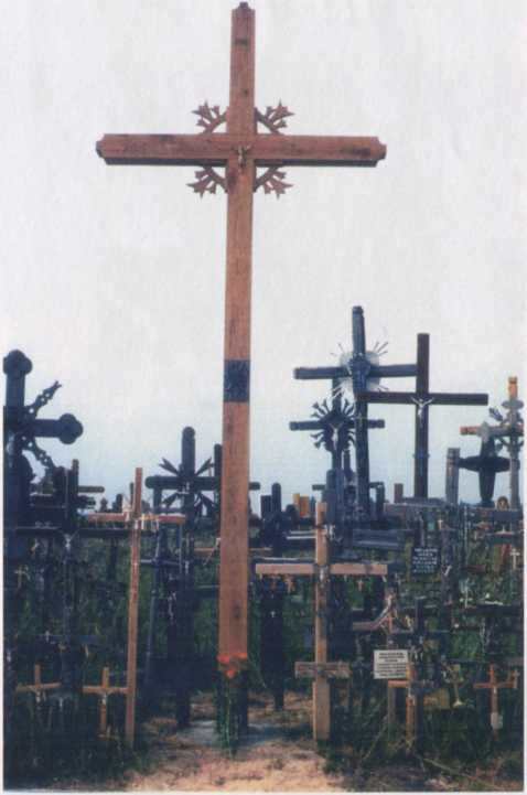 kryžius