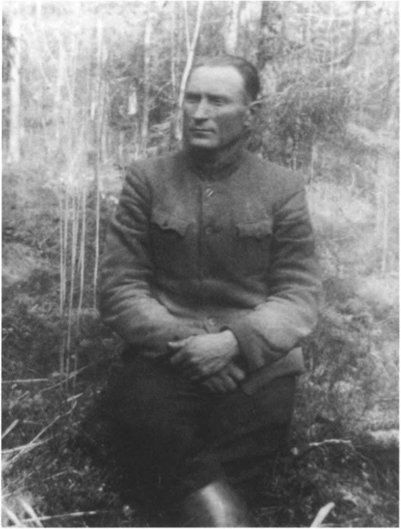 Mykolas Janulis-Tautvydas, Stumbras,