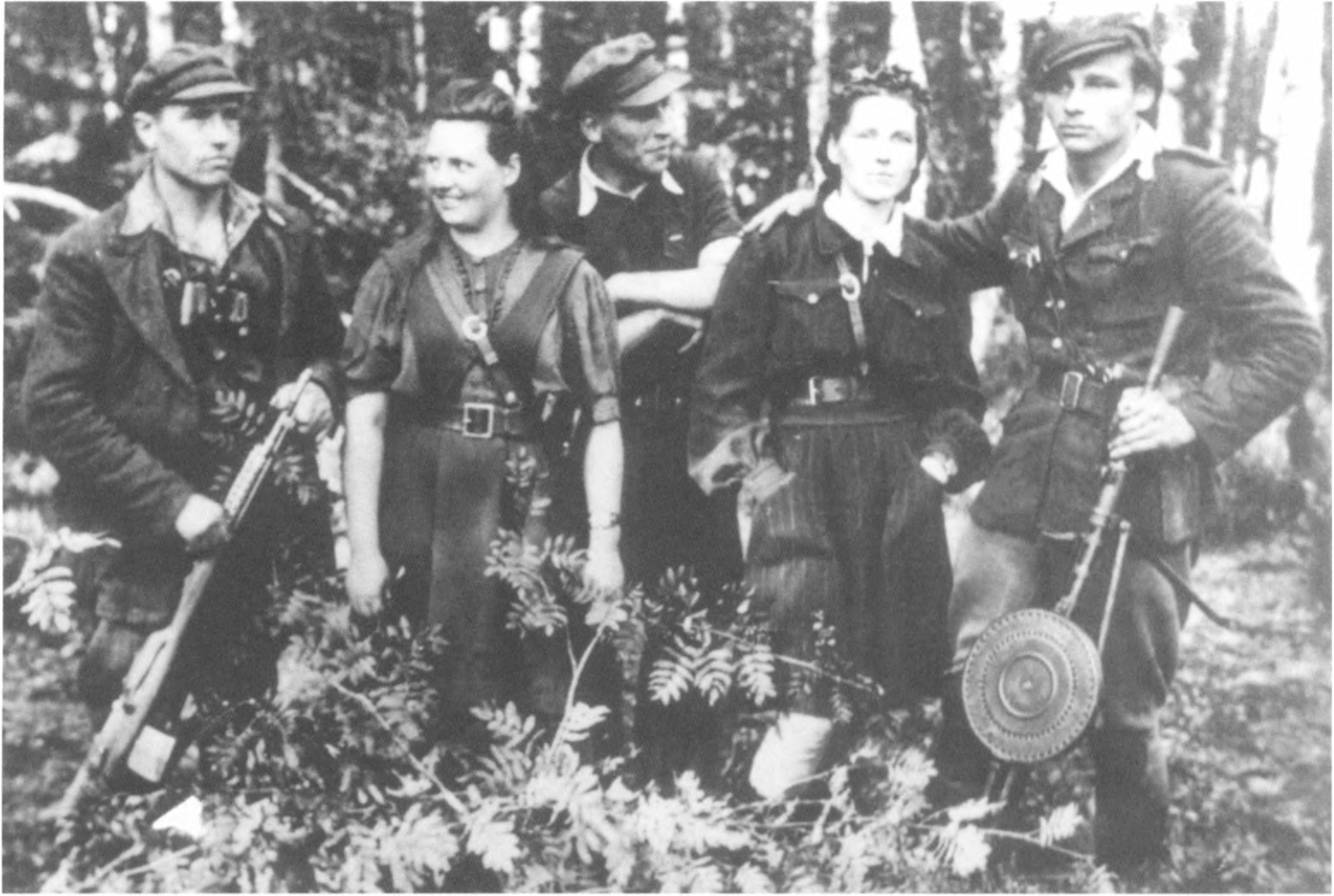 Algimanto apygardos partizanai