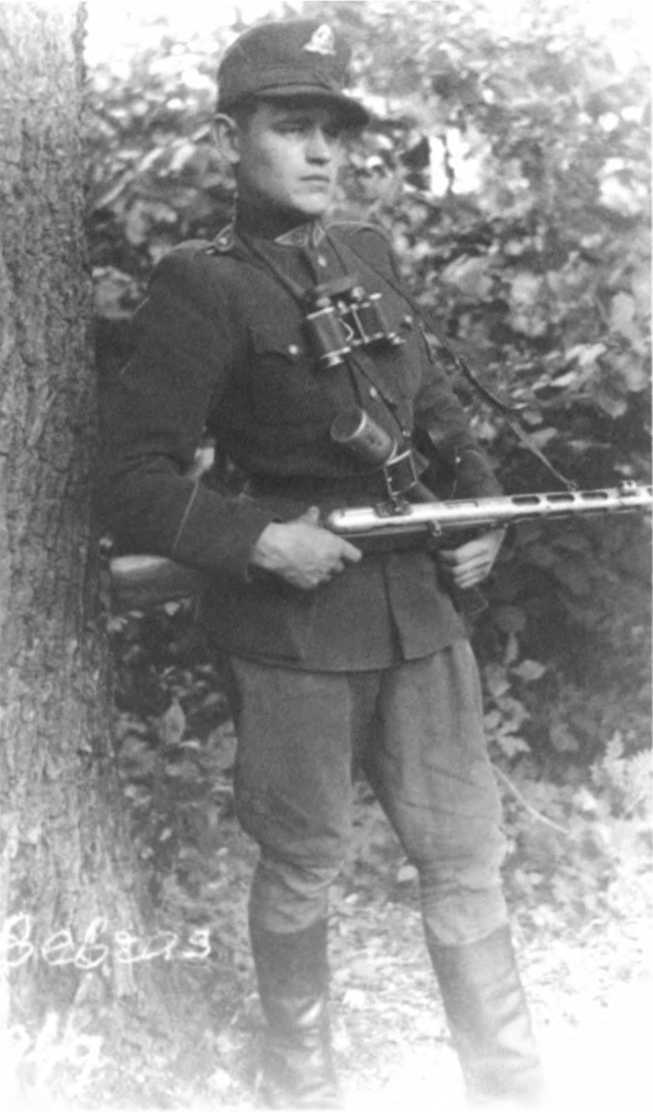 Vytautas Strazdas-Bebras