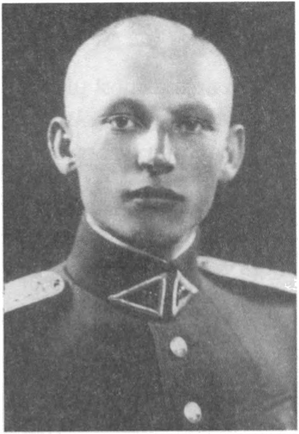 Danielius Vaitelis-Briedis