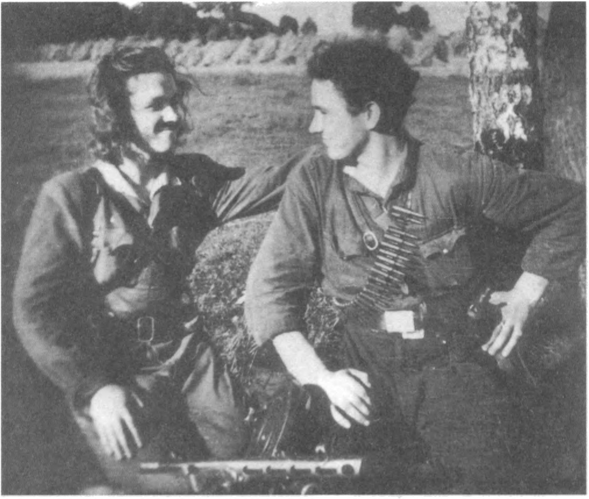 Aukštaitijos partizanai