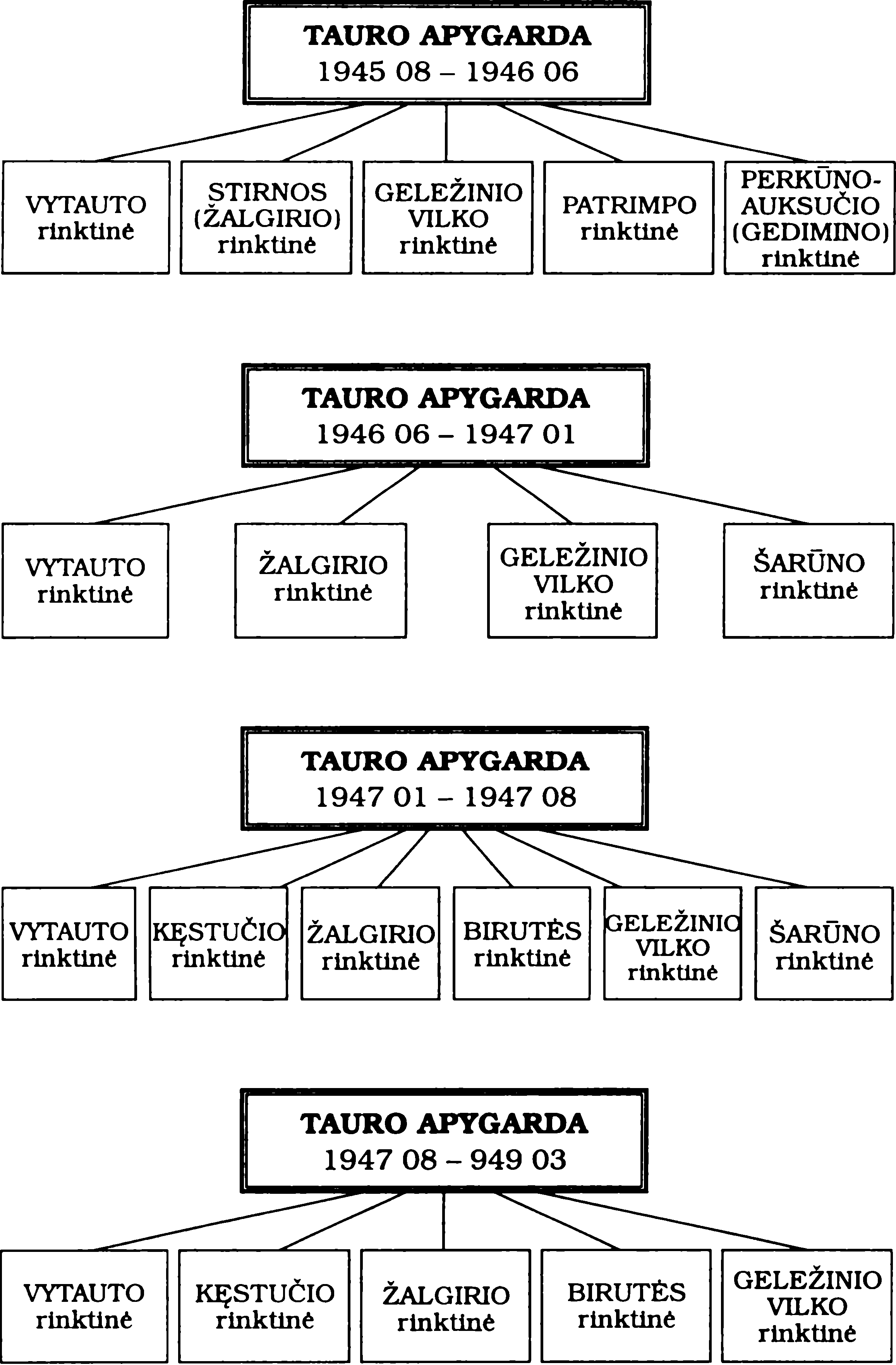 Tauro apygardos organizacinė struktūra