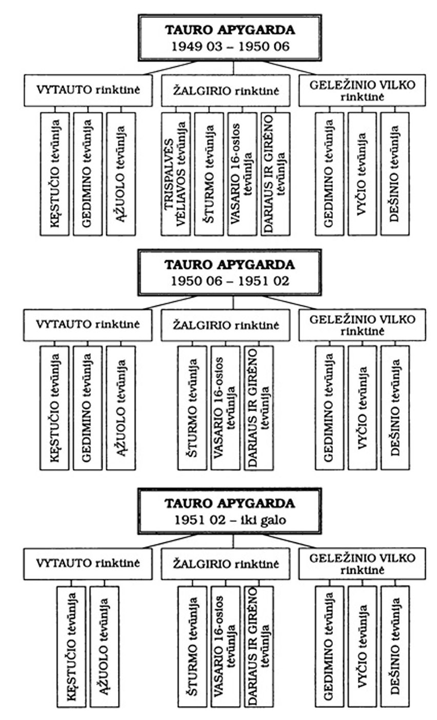 Tauro apygardos organizacinė struktūra