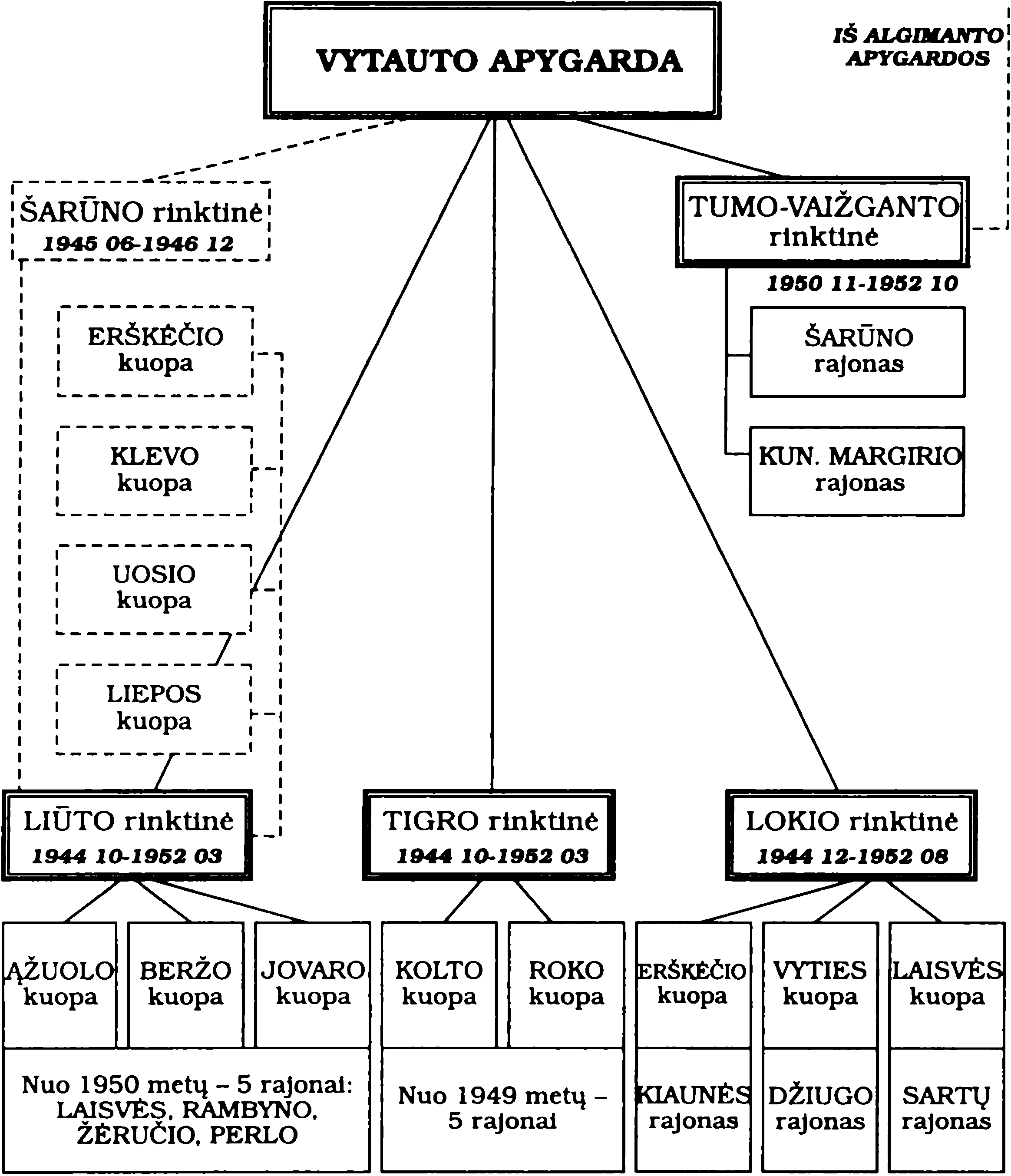Vytauto apygardos organizacinė struktūra 