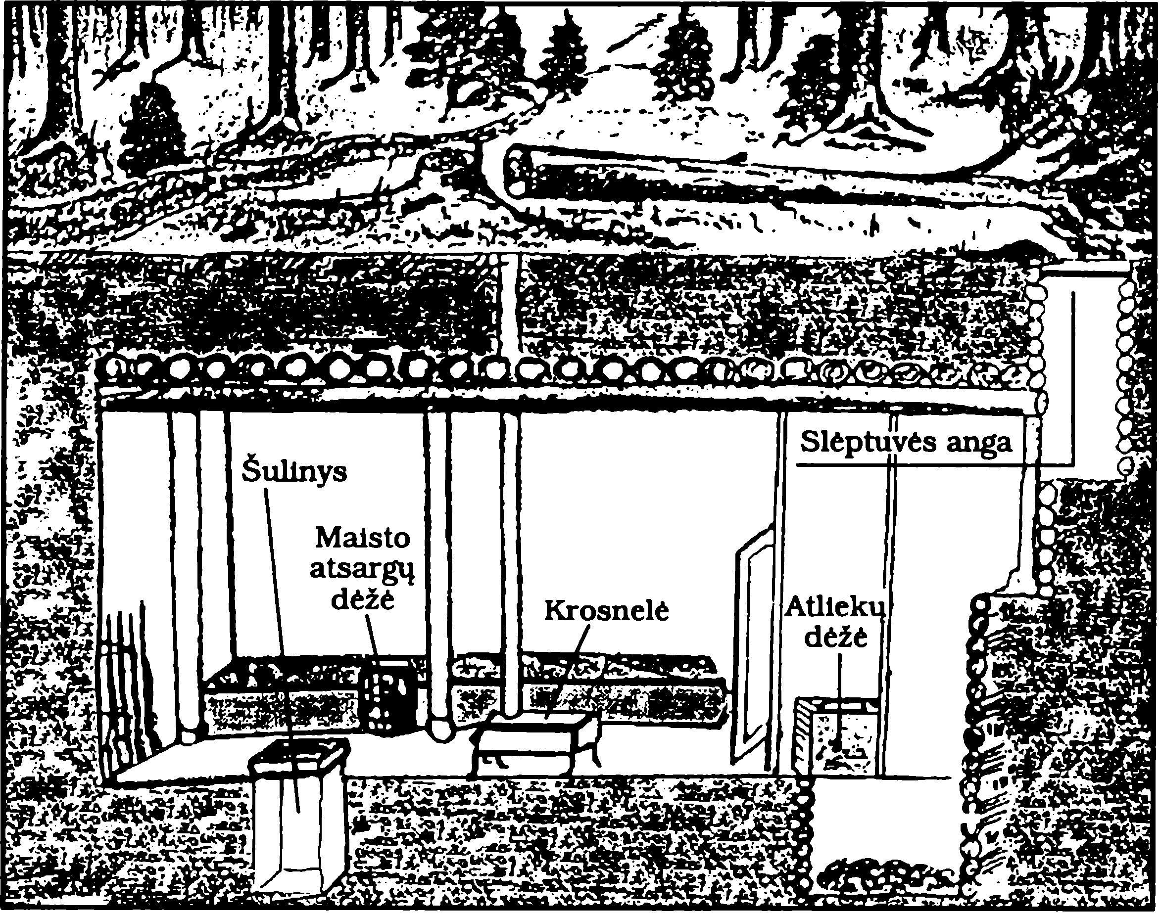 Slėptuvė (bunkeris) miške 