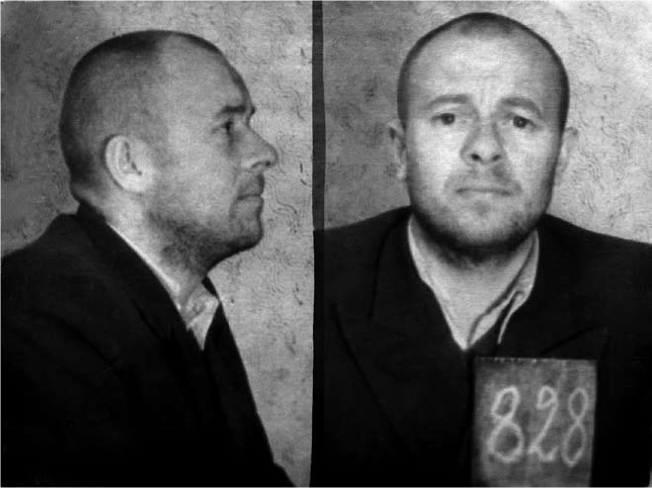Švilpa Pranas-Barzdyla, Abstinentas, Ąžuolas,