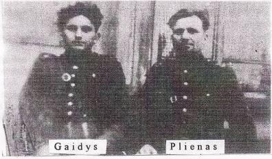 gaidys plienas